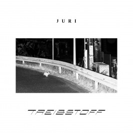 THE STUDJO